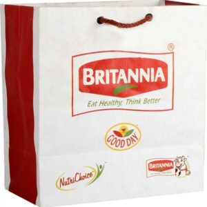 Paper Bag Liner_S